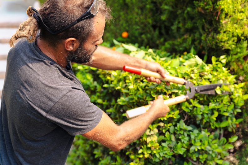 Trimming Bushes Near Windows