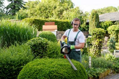 Landscaper Working on Bushes