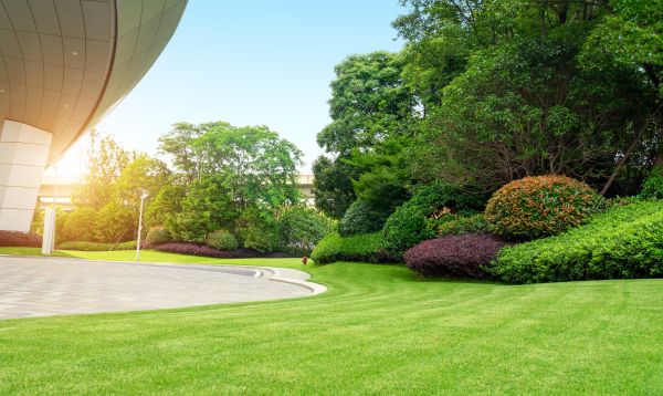 Commercial Shrub Trimming in Coeur D Alene