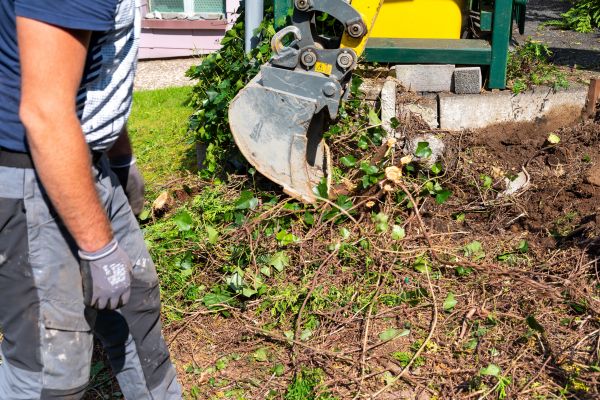 Hedge Removal Service in Coeur D Alene