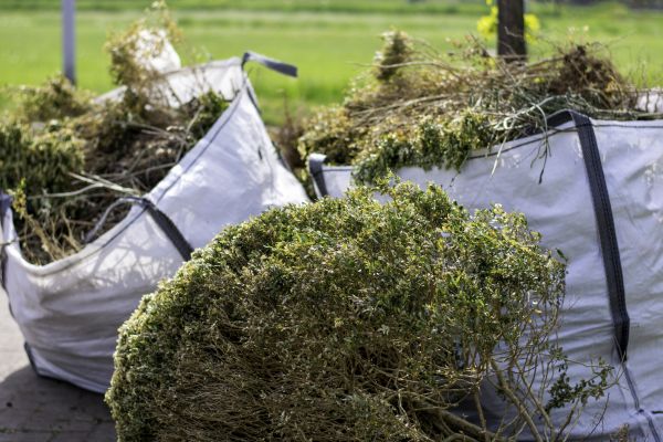 Cost of Shrubs Removal in Coeur D Alene