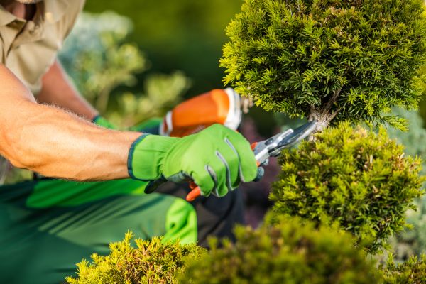 Landscape Pruning Service in Coeur D Alene